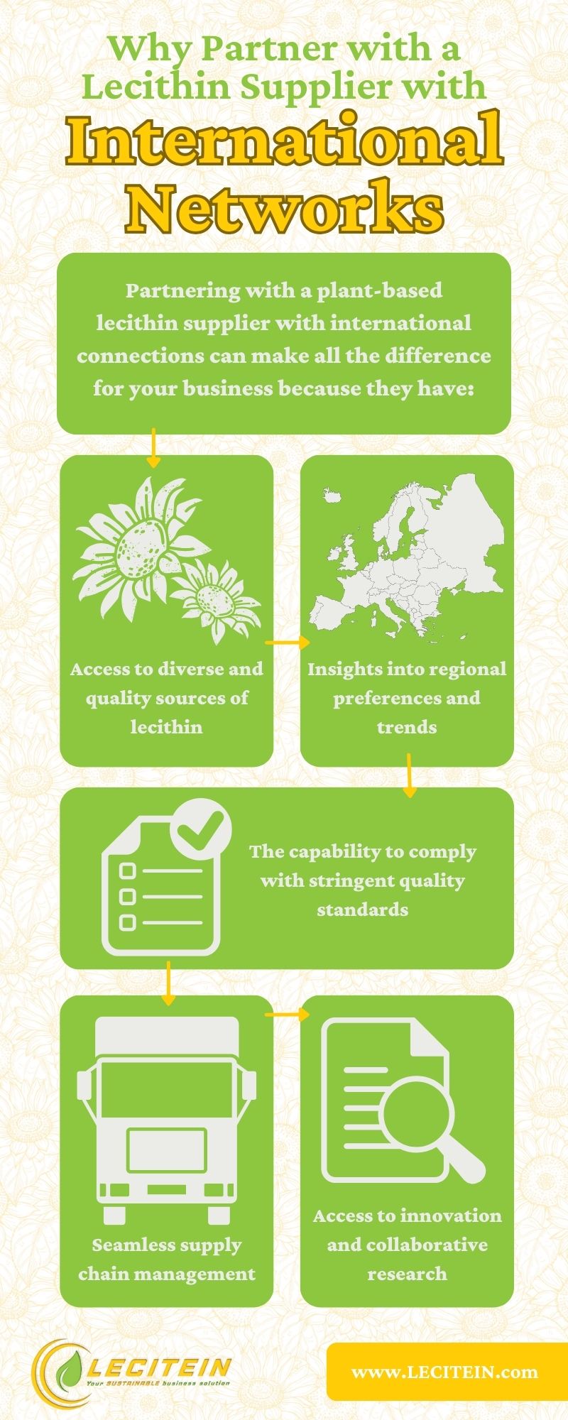 Why Partner with a Lecithin Supplier with International Networks